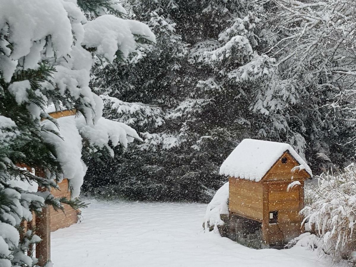 Apartamento Harzer Auszeit Hattorf am Harz Exterior foto